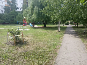 ПОКОС ТРАВЫ ПРИДОМОВОЙ ТЕРРИТОРИИ ПО АДРЕСУ УЛ. АСТРАХАНСКАЯ Д. 195/2
