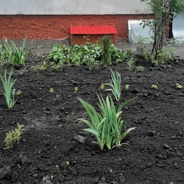 🌼ВО ДВОРЫ ЗАВЕЗЛИ ЧЕРНОЗЁМ ДЛЯ ОФОРМЛЕНИЯ ЦВЕТНИКОВ И КЛУМБ🌼